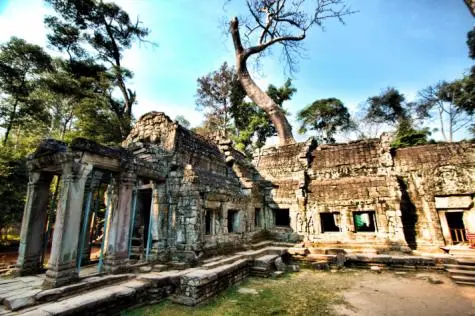 Cambodia, Siem Reap, Ta Prohm, Angkor Wat
