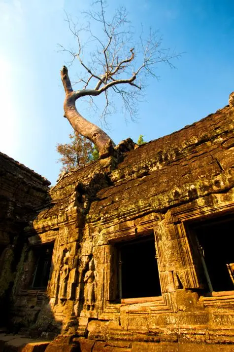 Cambodia, Siem Reap, Ta Prohm, Angkor Wat