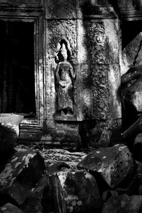 Cambodia, Siem Reap, Ta Prohm, Angkor Wat