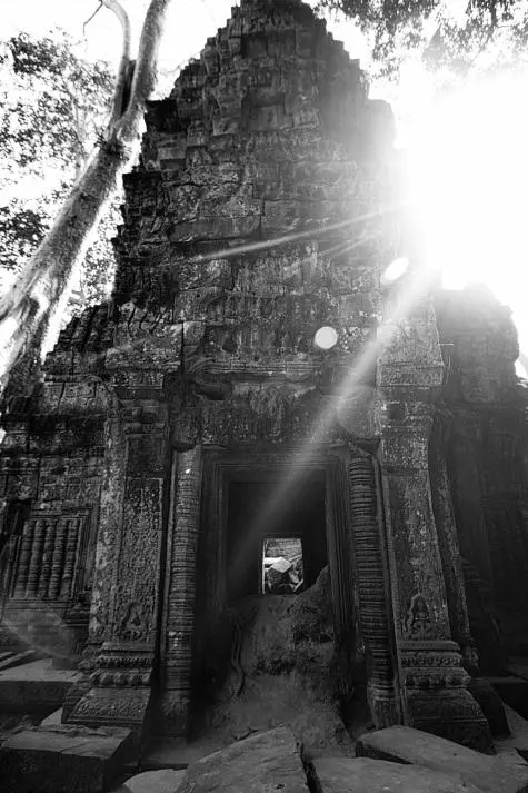 Cambodia, Siem Reap, Ta Prohm, Angkor Wat