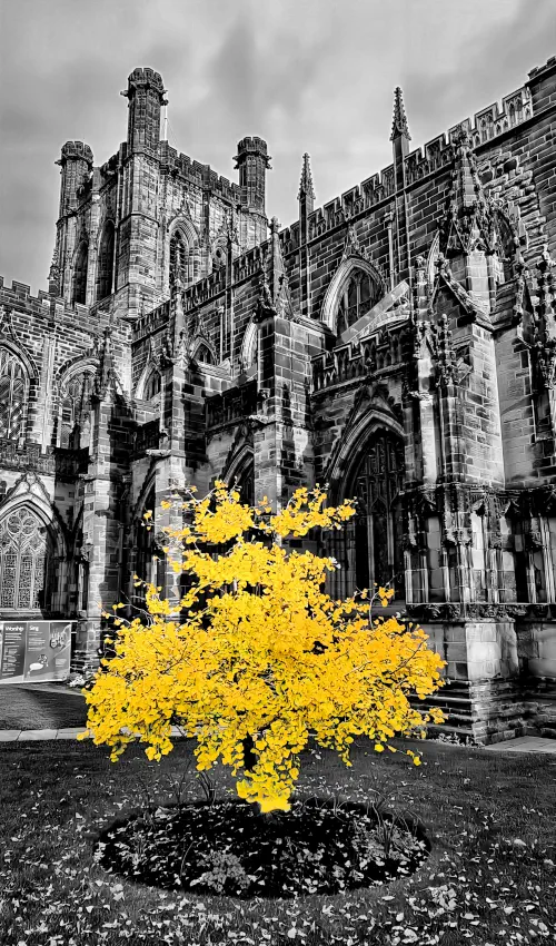 Cheshire, Chester, Cathedral