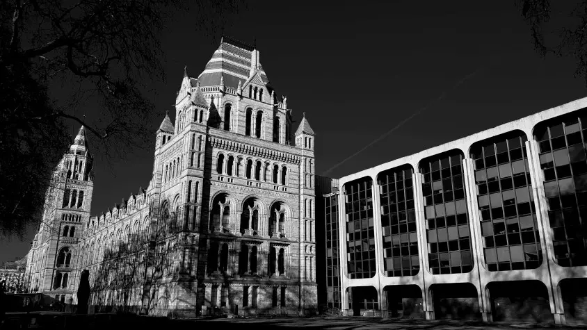 London, London, Natural History Museum
