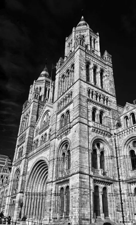 London, London, Natural History Museum