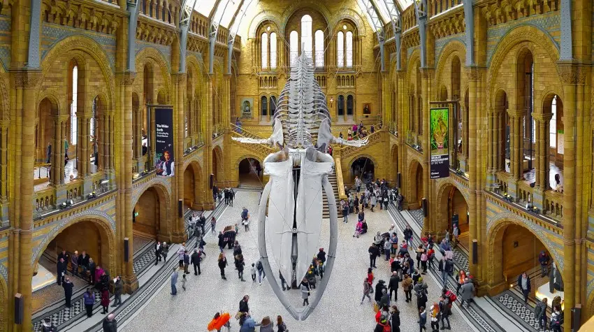 London, London, Natural History Museum