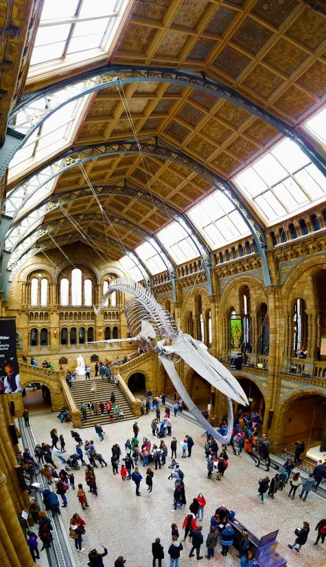 London, London, Natural History Museum