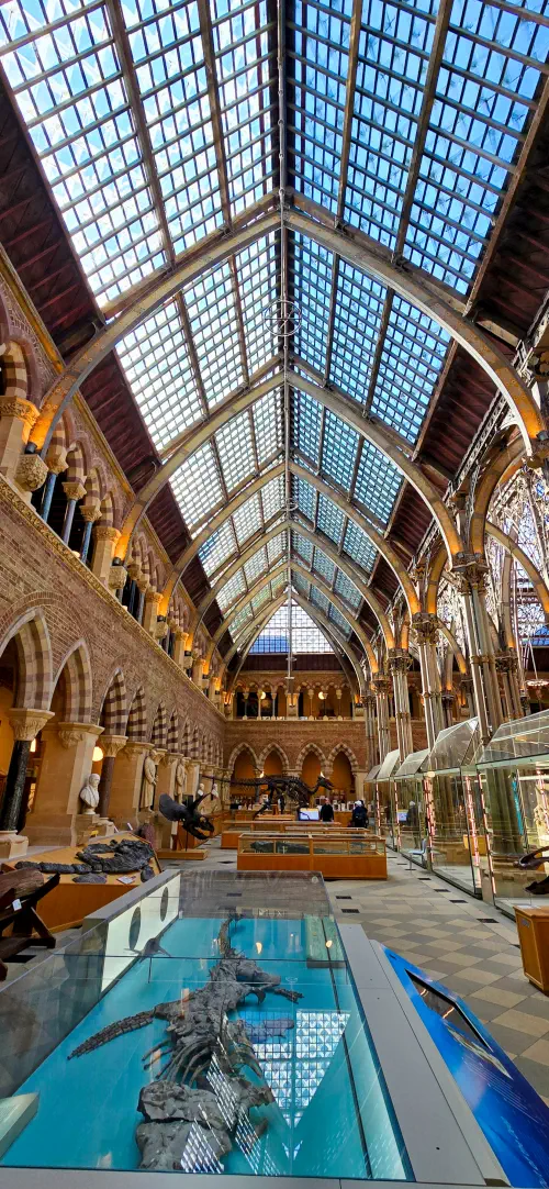Oxfordshire, Oxford, Museum of Natural History
