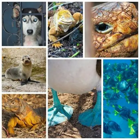 Ecuador, Galapagos Islands