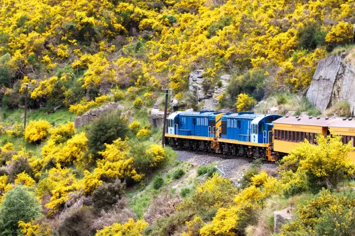 New Zealand, Taieri Gorge Railway