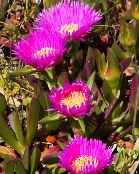 Portugal, Algarve, Coast line, Vilamoura