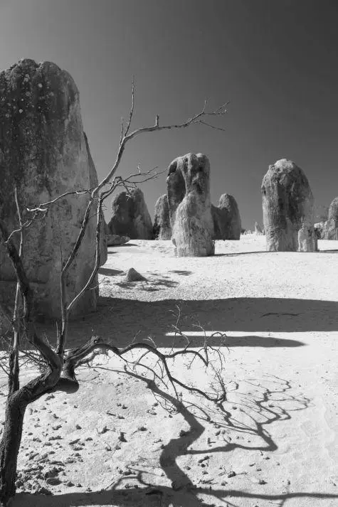 Australia, Nambung, Pinnacles Desert