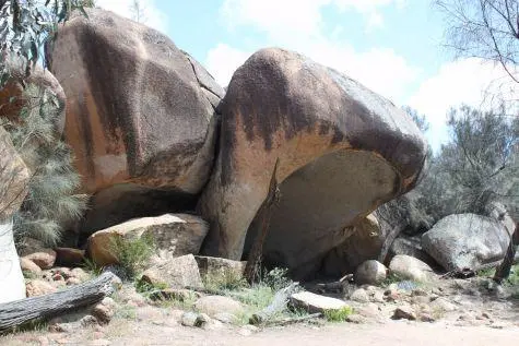 Australia, Perth, Hippos Yawn