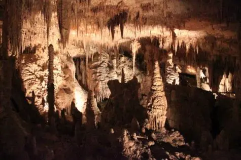 Australia, Boranup, Mammoth Cave