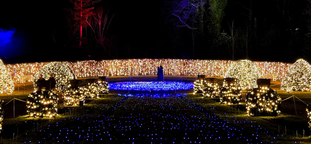 Germany, Berlin, Botanic Gardens at Christmas