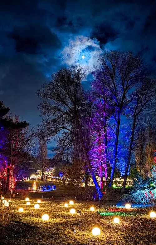 Germany, Berlin, Botanic Gardens at Christmas