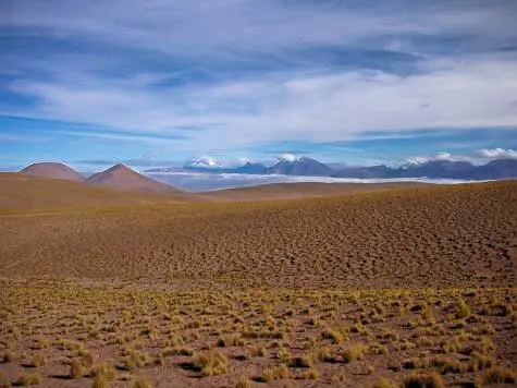 Chile, Atacama Desert, Alta Plano