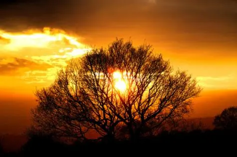 Yorkshire, Emley Moor, Sunset