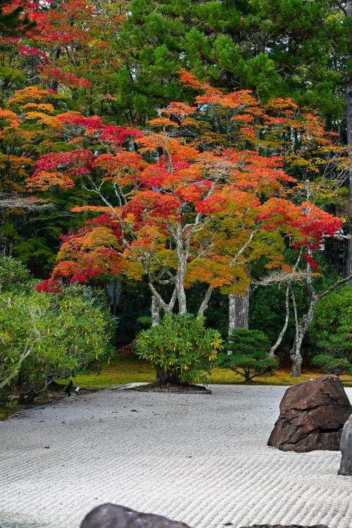 Japan, Koyasan, Kongōbu-ji Temple