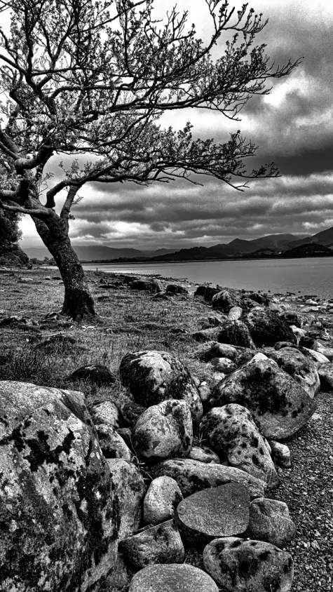 Cumbria, Lake District, Bassenthwaite Lake, Keswick