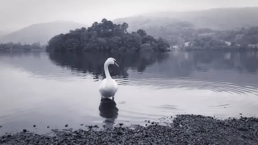 Cumbria, Lake District, Rydal Water