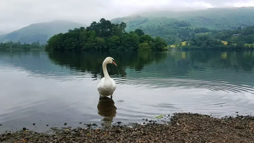 Cumbria, Lake District, Rydal Water
