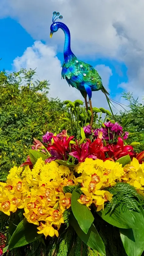 Portugal, Madeira, Flower Festival, Funchal