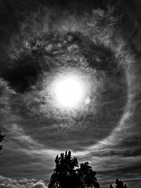 Portugal, Madeira, Botanical Gardens, Funchal