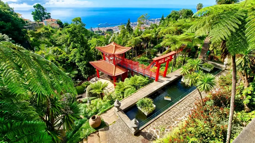Portugal, Madeira, Tropical Gardens, Funchal
