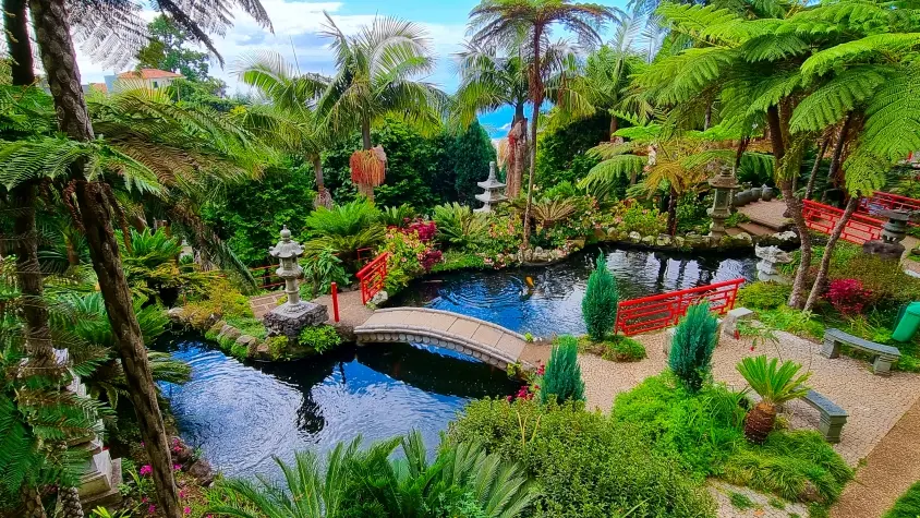 Portugal, Madeira, Tropical Gardens, Funchal