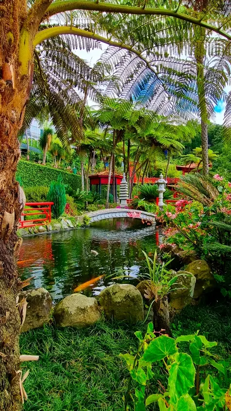 Portugal, Madeira, Tropical Gardens, Funchal