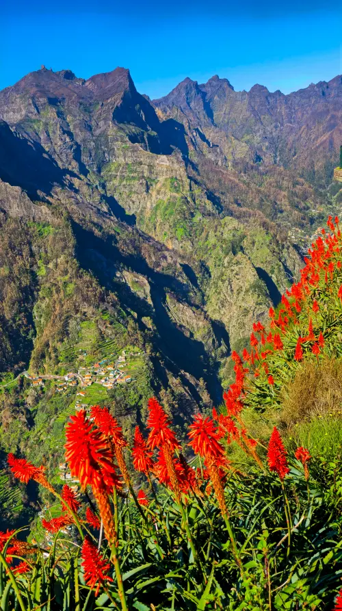 Portugal, Madeira, Nuns Valley / Curral das Freiras