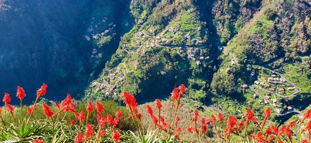 Portugal, Madeira, Nuns Valley / Curral das Freiras
