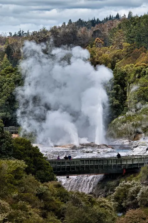 New Zealand, Rotorua, Te Puia geothermal park