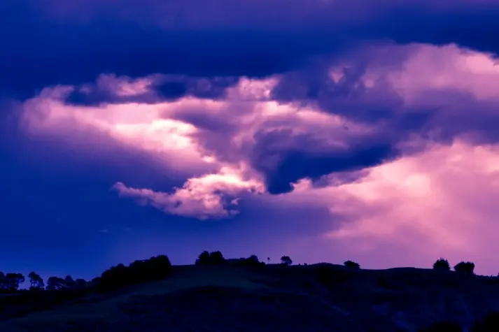 New Zealand, Dunedin, Otago Peninsula