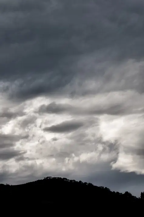 New Zealand, Dunedin, Otago Peninsula
