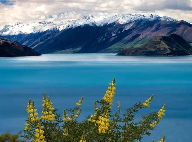 New Zealand, Otago, Lake Wakatipu