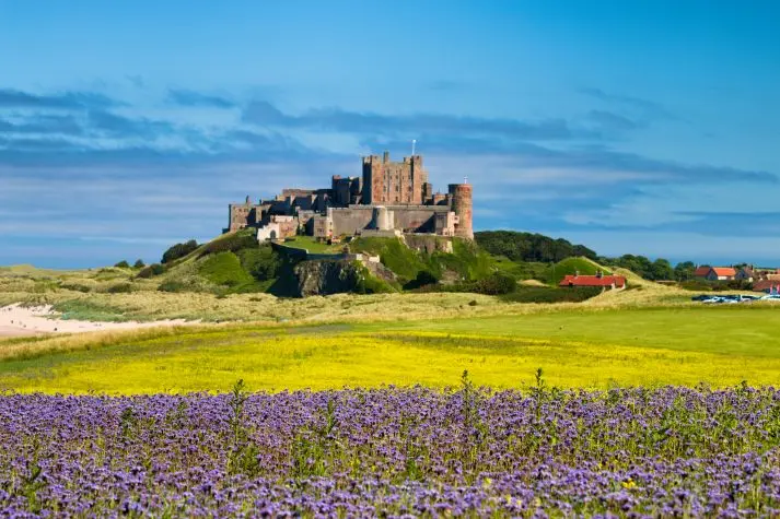 Northumbria, Bamburgh, Bamburgh Castle and thistles