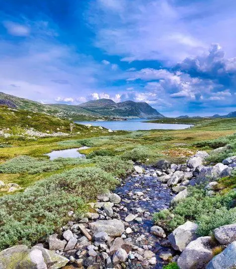 Norway, Hardangervidda