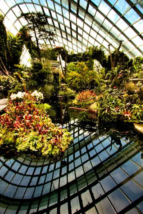 Singapore, Gardens by the Bay