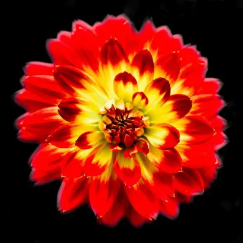 Singapore, Gardens by the Bay