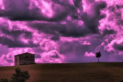 Italy, Italy, Colle di Val d Elsa, Tuscany