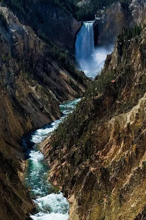 USA, Wyoming, Yellowstone