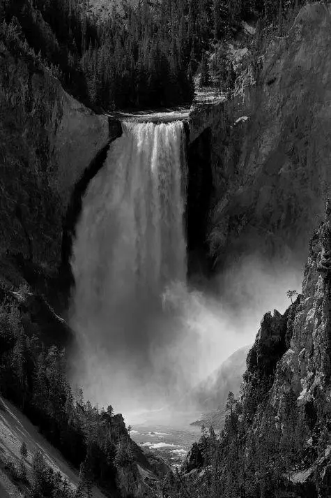 USA, Wyoming, Yellowstone