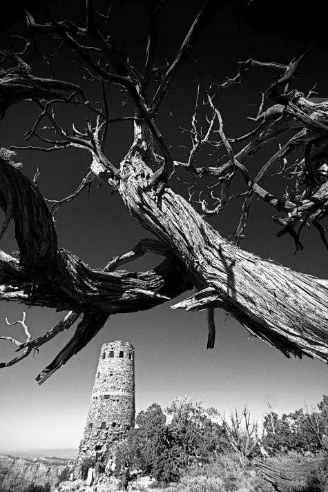 USA, Arizona, Grand Canyon