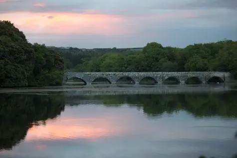 Wales, Pembroke, Bosherston Lily Ponds