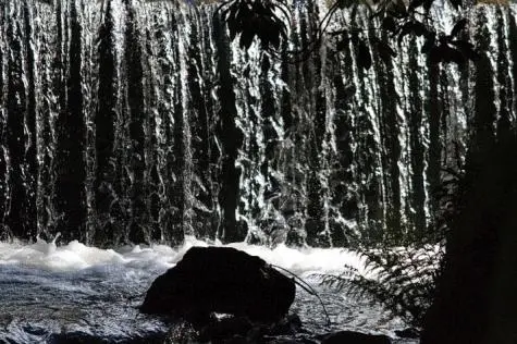 Wales, Colwyn Bay, Bodnant Gardens