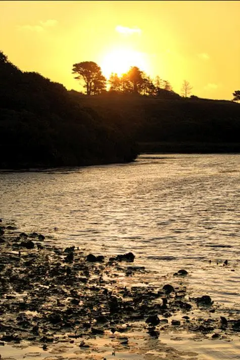 Wales, Pembroke, Bosherston Lily Ponds