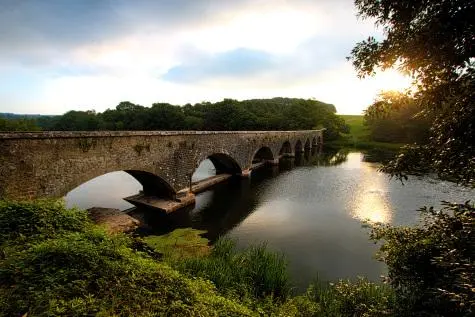 Wales, Pembroke, Bosherston Lily Ponds