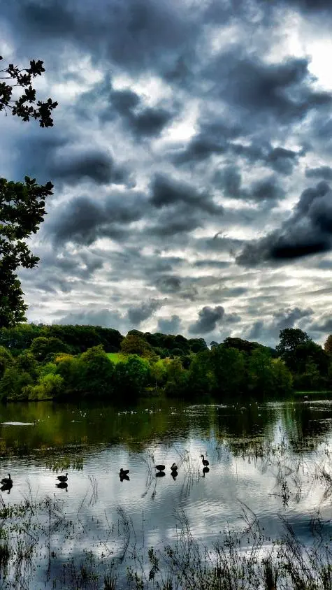 Yorkshire, Yorkshire Sculpture Park, Lake