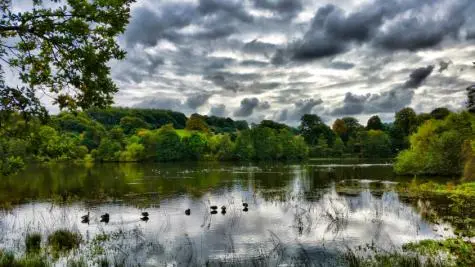 Yorkshire, Yorkshire Sculpture Park, Lake