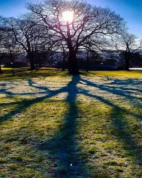 Yorkshire, Yorkshire Sculpture Park, Shadows